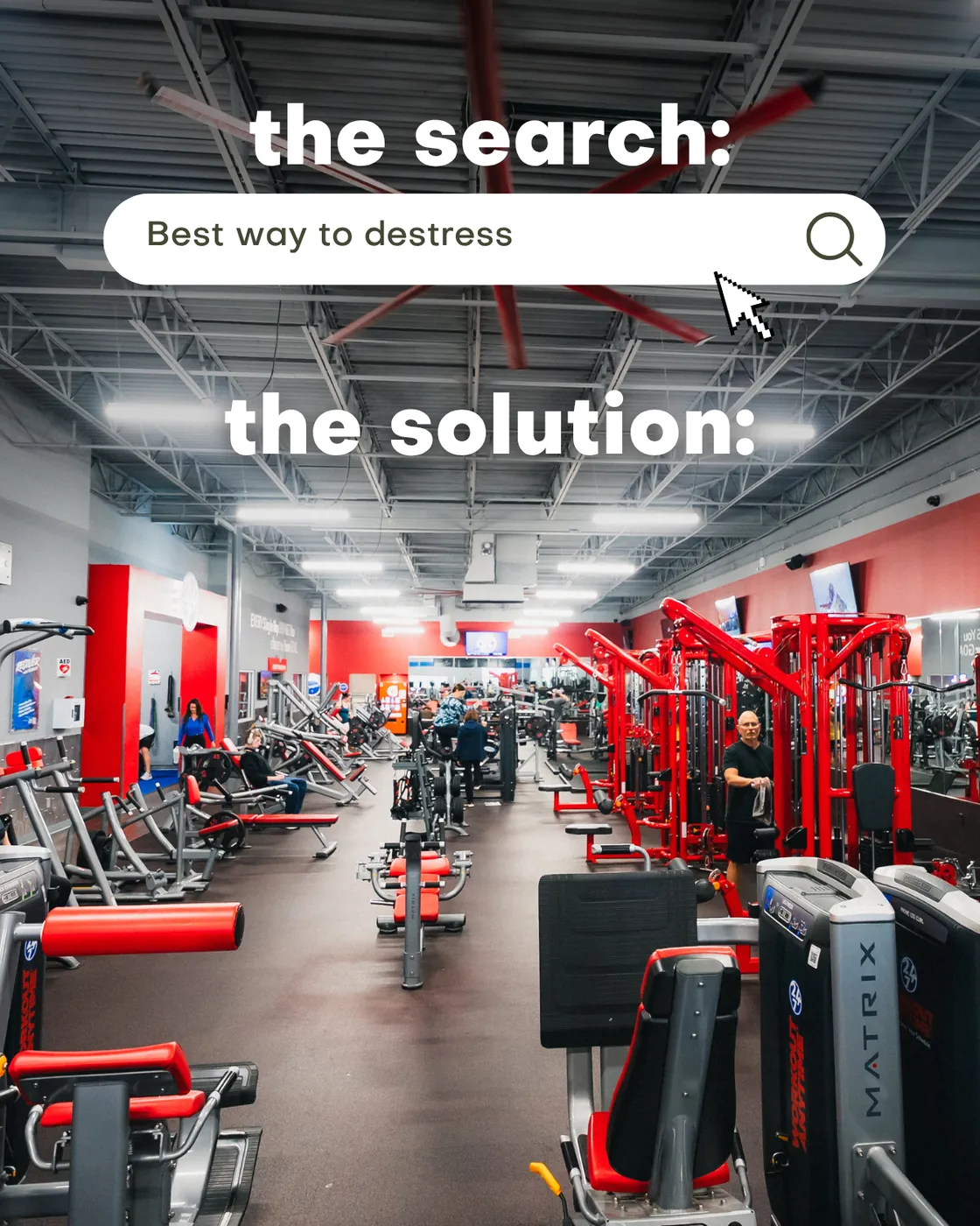 Workout Anytime social post: a search bar reading Best way to destress, then the solution: a photo of the gym floor.